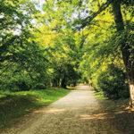 Nérac, le parc de la Garenne