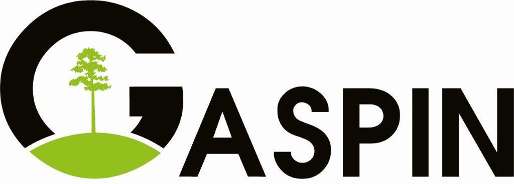 Gaspin